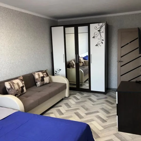 1-комнатная квартира，位于巴尔喀什的酒店