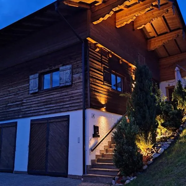 Apartment Unterhollenau，位于格英的酒店
