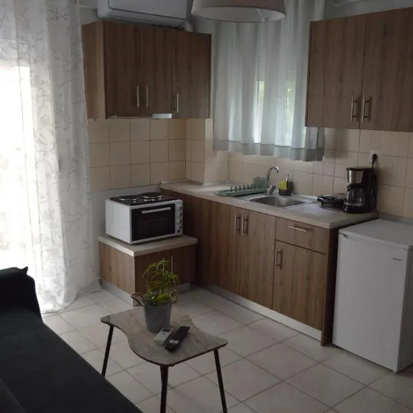 Μοντέρνο Δυάρι στο Κέντρο της Λάρισας，位于拉里萨的酒店