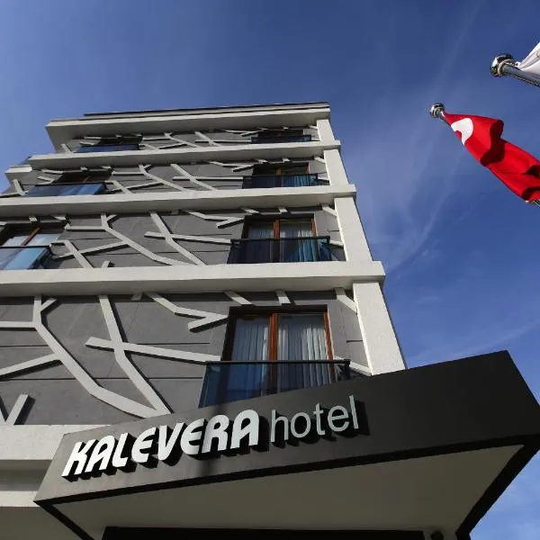 卡勒维拉酒店，位于埃迪尔内的酒店