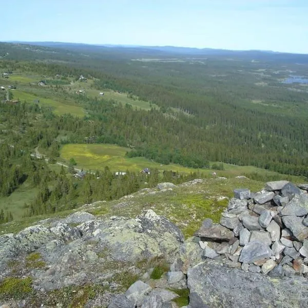 Hytte på fjellet, med mange turmuligheter !，位于高尔的酒店