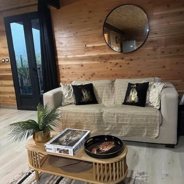 Chalet Mon Plaisir，位于拉普兰德帕尔米斯特的酒店
