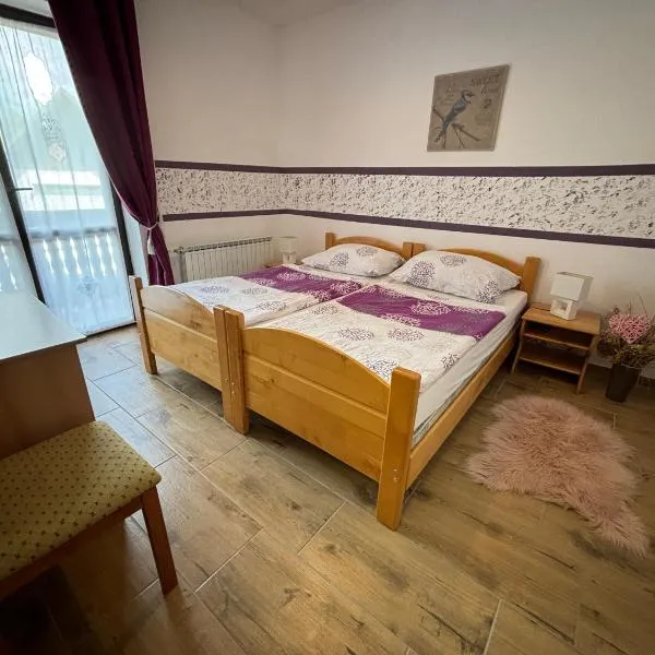 Guest House Kmečki Hram FORTUNA，位于伊德里亚的酒店