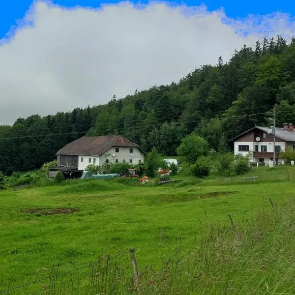 Kriegwald Apartements，位于Julbach的酒店