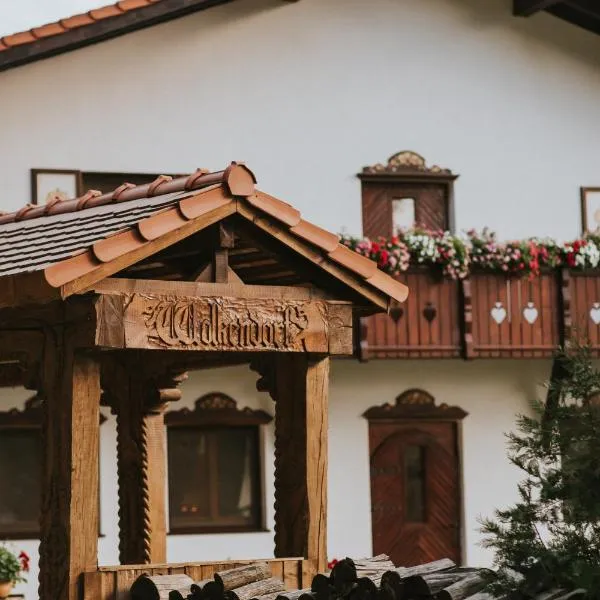 Wolkendorf Bio Hotel & Spa，位于布拉索夫的酒店