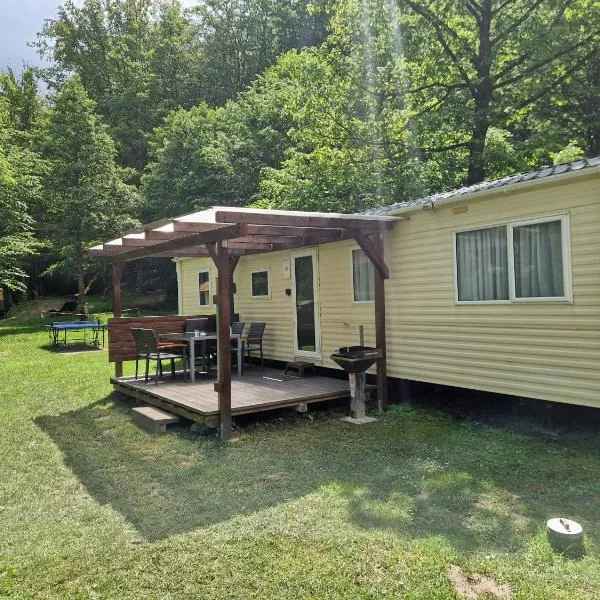 Ferienhaus direkt am See Mobilheim am Schönsee，位于Urnshausen的酒店