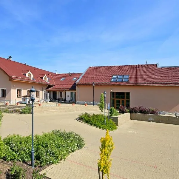 哈莫尼酒店，位于Strážiště的酒店
