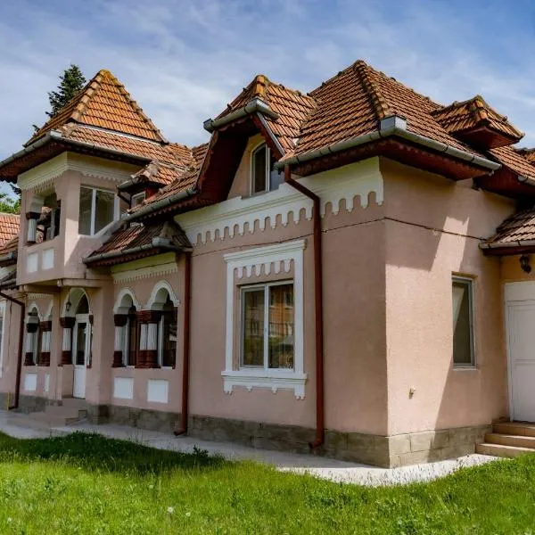 Vila PANSELUȚA，位于Pucioasa的酒店