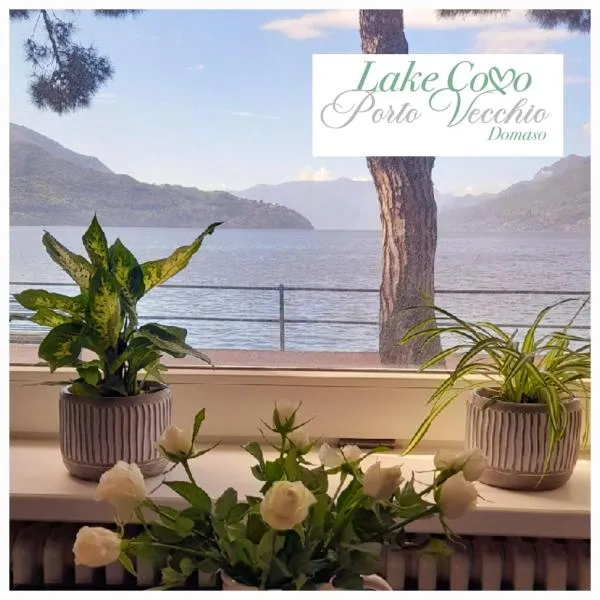 Lake Como PORTO VECCHIO，位于多马索的酒店