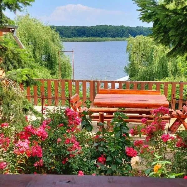 Vila Lacul Caldarusani,位于Grădiştea的酒店