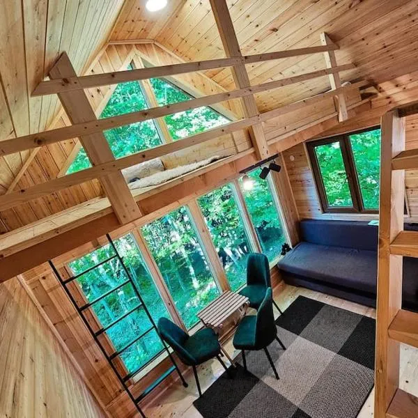 Bear Watching Tiny House，位于Lupeni的酒店