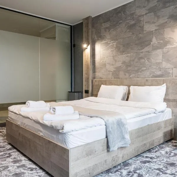 RCR Einstein studios 2，位于索非亚的酒店