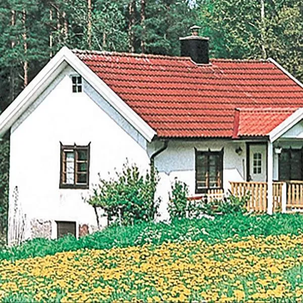 Awesome Home In Hjältevad With Kitchen，位于Holsbybrunn的酒店