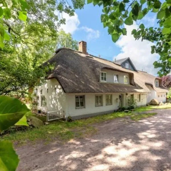 Föhrzeit - Wohnung 4 Besonderes Apartment mit Garten，位于博尔格苏姆的酒店