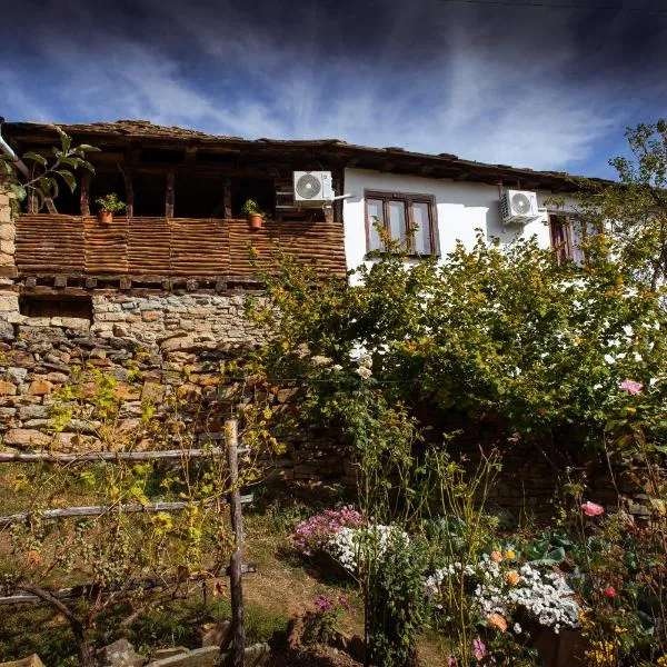 Porodična kuća Vitina Iža，位于皮罗特的酒店