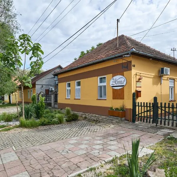 Ana Guesthouse，位于Senta的酒店