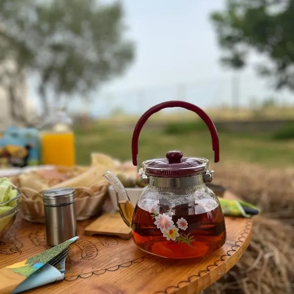 Lake shkodra，位于Razëm的酒店