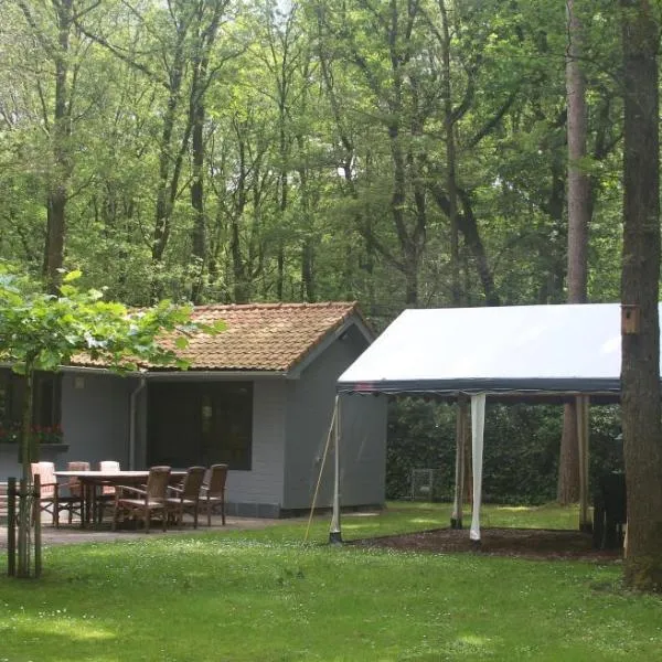 Mezenhof，位于布拉斯哈特的酒店