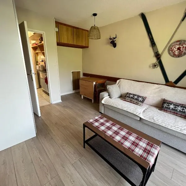 Appartement Superdevoluy T2 6 pers Les Issarts aux pieds des pistes orientation Sud，位于Superdevoluy的酒店