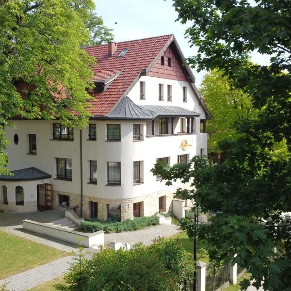 Jasny Dwór，位于波兰尼卡-兹德鲁伊的酒店