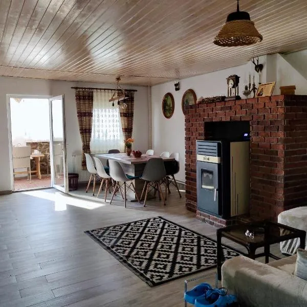 Holiday House Valiug，位于沃利乌格乡的酒店