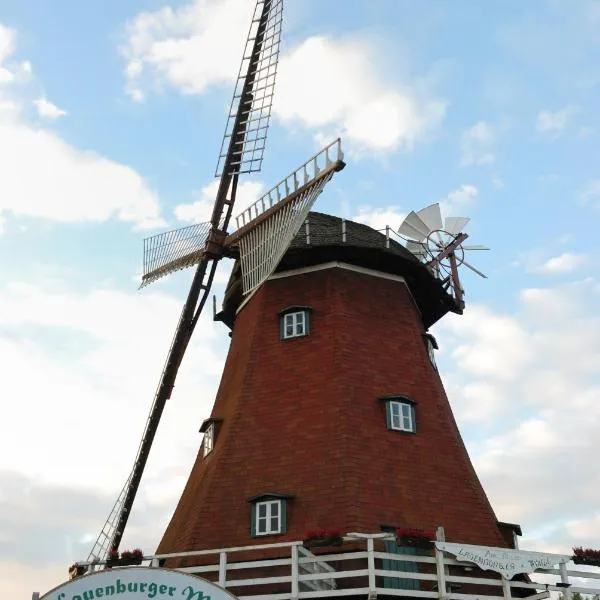 Lauenburger Mühle，位于劳恩堡的酒店