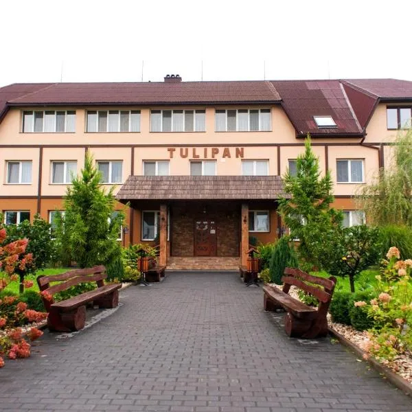 Tulipan Hotel Aquapark，位于Tyachiv的酒店
