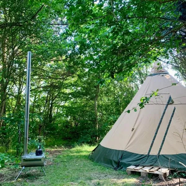 Kleine Tipi Texel，位于't Horntje的酒店