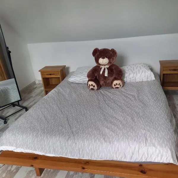 Chambre spacieuse，位于蒙福尔勒热努瓦的酒店