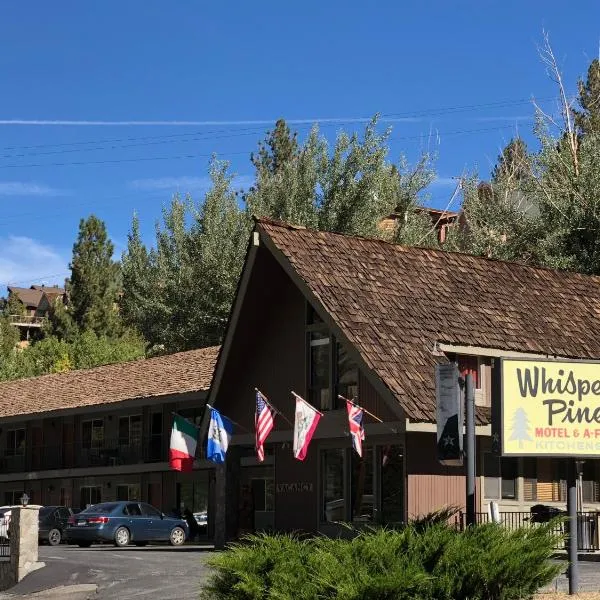 Whispering Pines Motel，位于六月湖的酒店