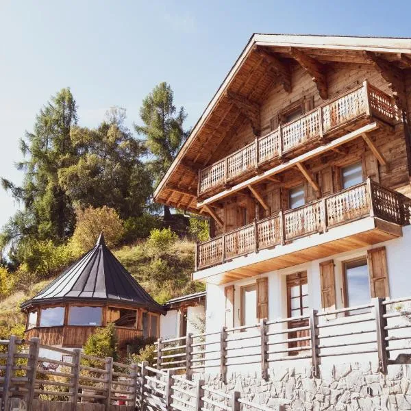 Chalet 4 Saisons - Guesthouse，位于Savièse的酒店