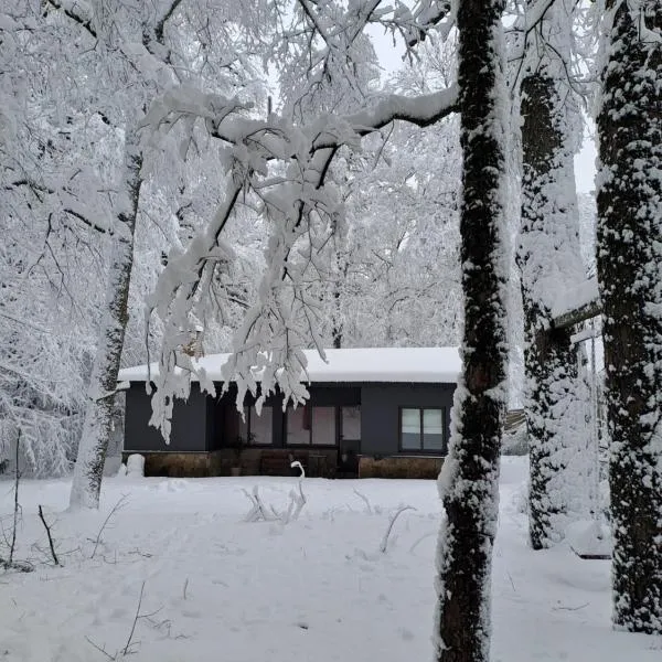 House del Bosque，位于圣马丁德洛斯的酒店