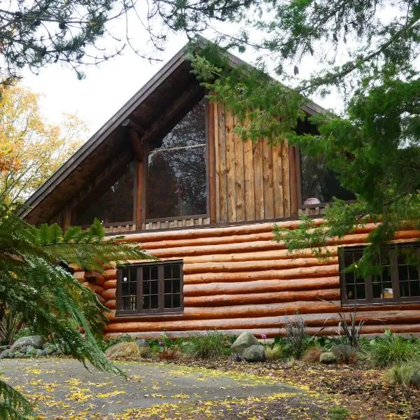 Ruapehu Log Lodge，位于Raetihi的酒店