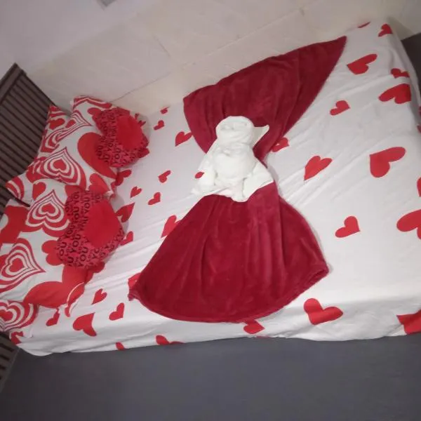 Sarah's Garden BnB & BnB Spa SARAH HOUSE RENTAL，位于Clarin的酒店
