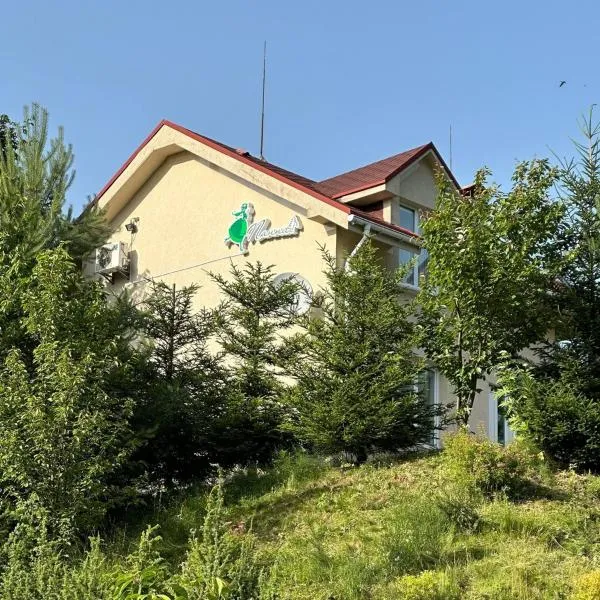 Panna Hotel，位于索洛钦的酒店
