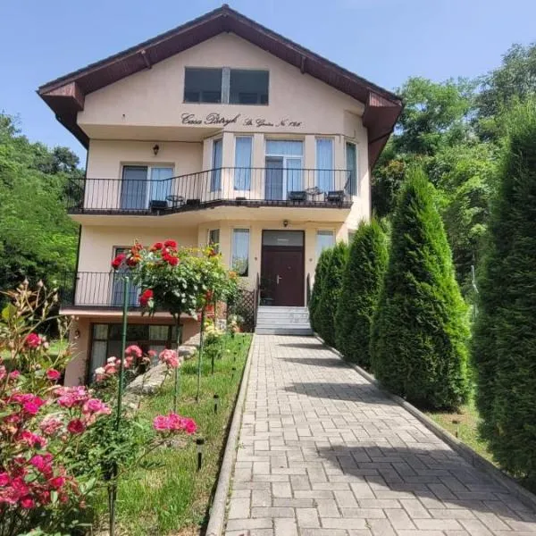 Casa Patryk，位于奥尔绍瓦的酒店