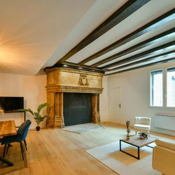 La Dame Blanche - Appartement hypercentre historique，位于布尔日的酒店