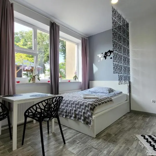 Apartament Centrum w Parku przy Katedrze nr 2，位于克维曾的酒店