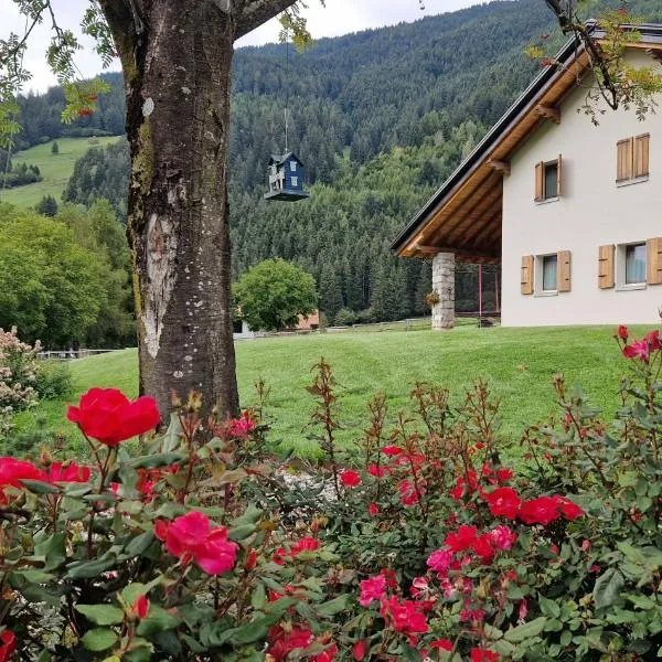 B&B La Paganina，位于博尔诺的酒店