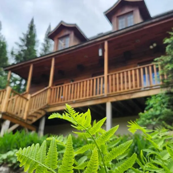 Chalet des Sources SPA Gazebo panoramique，位于Mont-Blanc的酒店