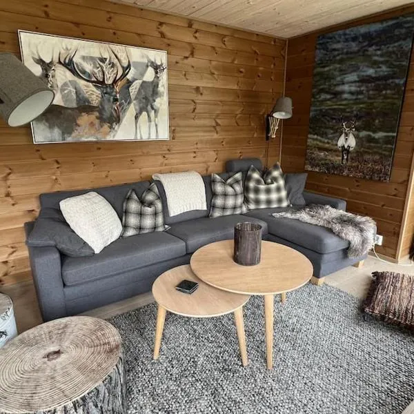 ChaletMons, stor trivelig leilighet i Myrkdalen，位于Vossestrand的酒店