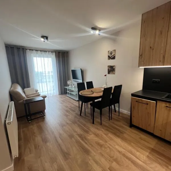 Apartament Broniewskiego，位于布斯克·兹德鲁伊的酒店