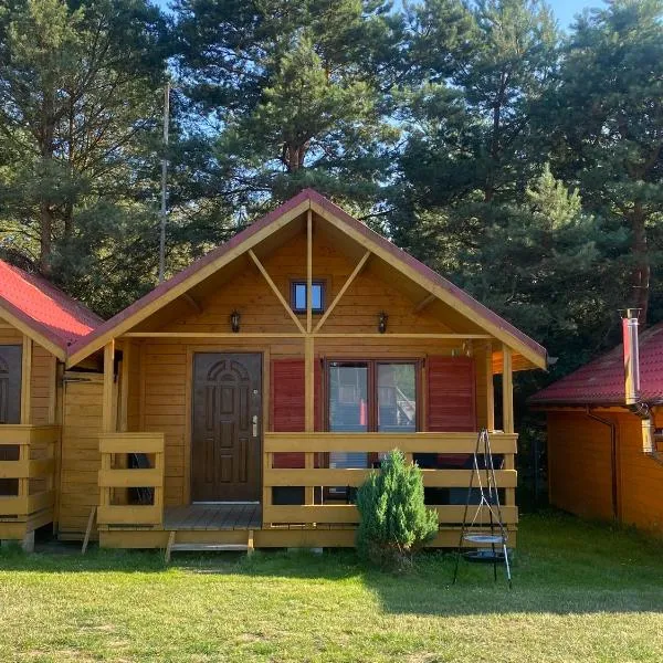 Domki nad morzem - Wisełka，位于维塞乌卡的酒店