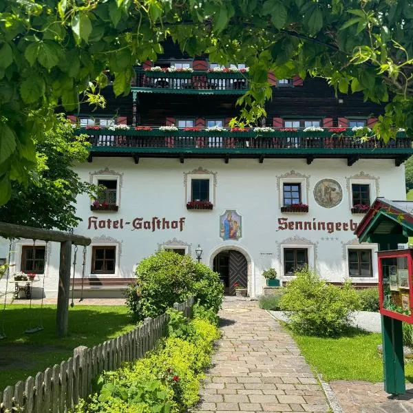 森宁格尔布劳酒店,位于维尔德科格尔山麓布兰贝格的酒店