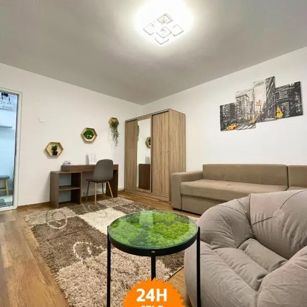 Apartament Fălticeni，位于Rădăşeni的酒店