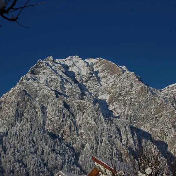 Cazare Casa Cristina，位于布什泰尼的酒店