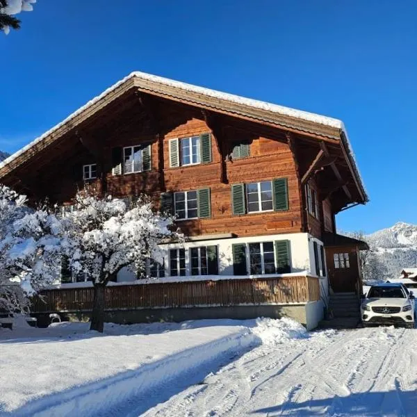 Chalet Bärgsunne，位于伦克的酒店