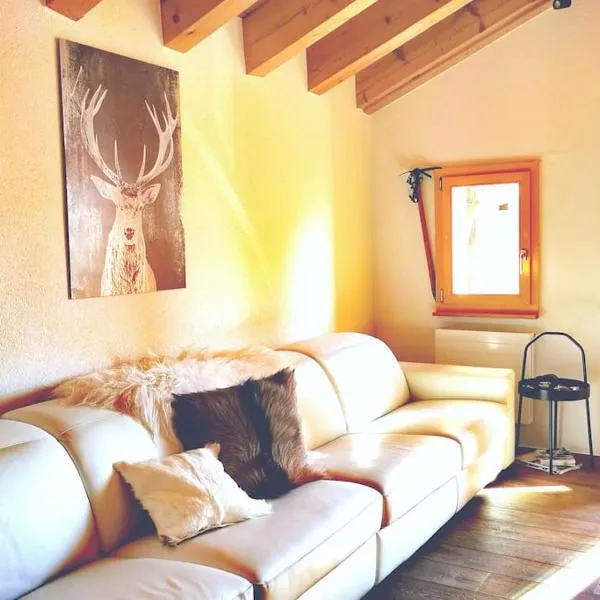 Charmante Loft Wohnung in den Bergen，位于明斯特的酒店