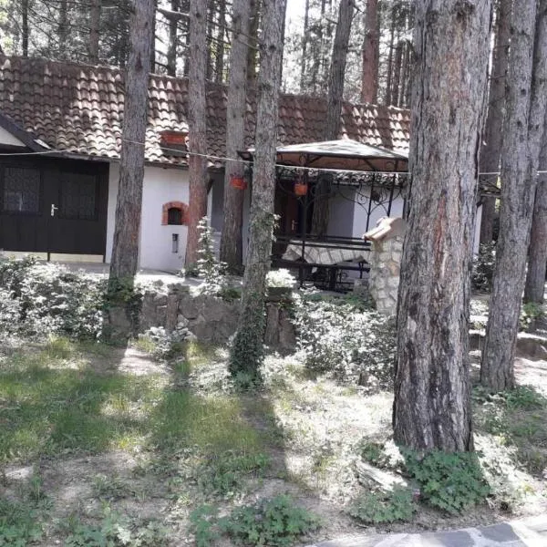 Apartman medju borovima，位于Vinci的酒店