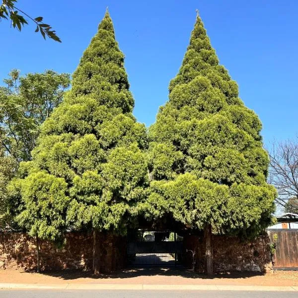 Two Firs Irene，位于逊邱伦的酒店